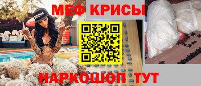 spice Гатчина