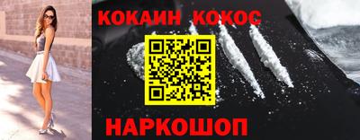 шишки Гай