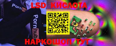 бошки Гагарин