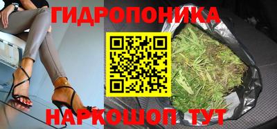 бошки Гагарин
