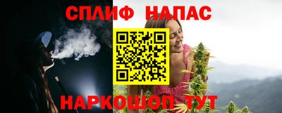 шишки Гай