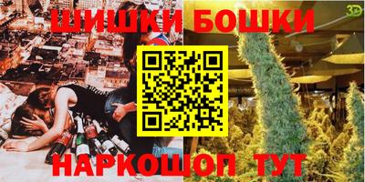 шишки Гай