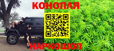 бошки Гагарин