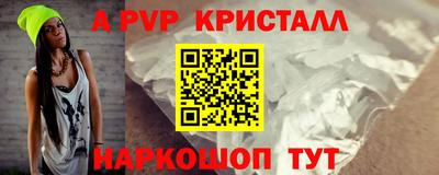 spice Гатчина