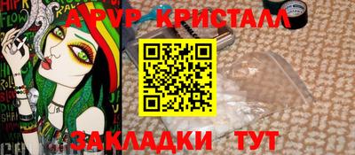 spice Гатчина
